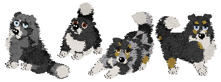 Spellbound Mutating Sheltie Recolor V3