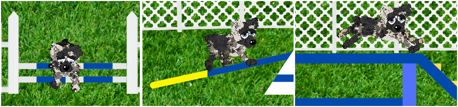 Agility Arenas preview